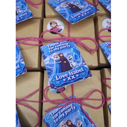 Party Bag in a Box (FROZEN) | Pre-filled Kids Birthday Favours | Ready Made Party Bags