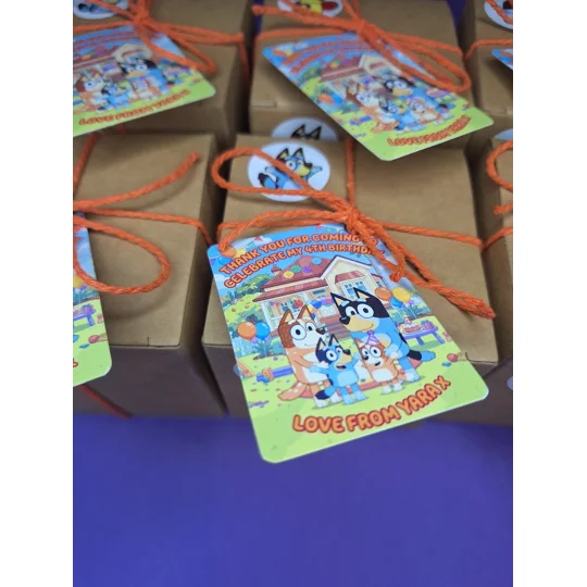 Party Bag in a Box (BLUEY) | Pre-filled Kids Birthday Favours | Ready Made Party Bags