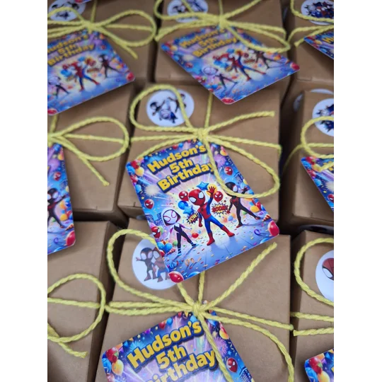 Party Bag in a Box (SPIDEY) | Pre-filled Kids Birthday Favours | Ready Made Party Bags