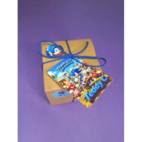 Party Bag in a Box (SONIC) | Pre-filled Kids Birthday Favours | Ready Made Party Bags