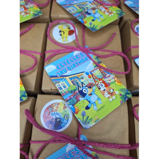 Party Bag in a Box (BLUEY) | Pre-filled Kids Birthday Favours | Ready Made Party Bags