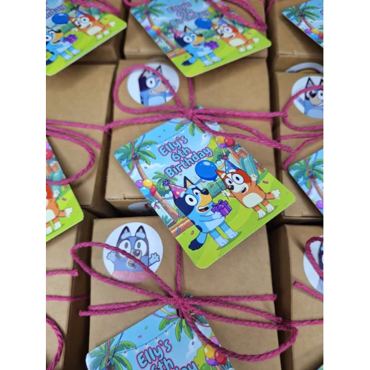 Party Bag in a Box (BLUEY) | Pre-filled Kids Birthday Favours | Ready Made Party Bags