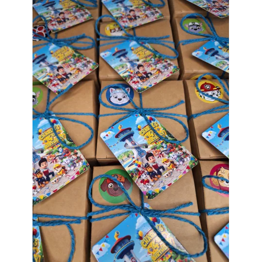 Party Bag in a Box (PAW PATROL) | Pre-filled Kids Birthday Favours | Ready Made Party Bags