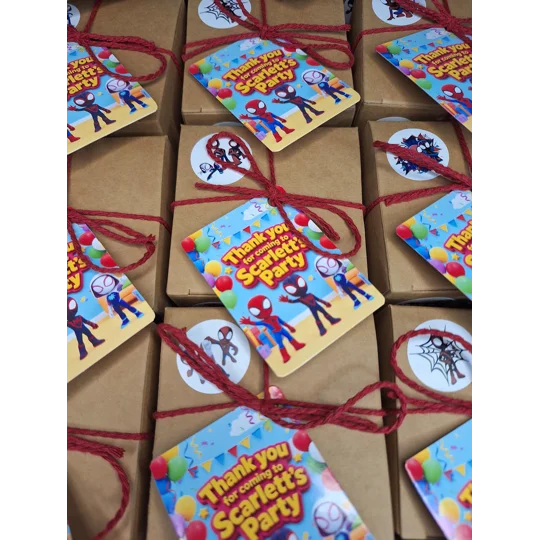 Party Bag in a Box (SPIDEY) | Pre-filled Kids Birthday Favours | Ready Made Party Bags