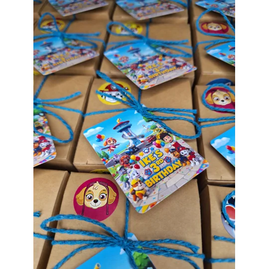 Party Bag in a Box (PAW PATROL) | Pre-filled Kids Birthday Favours | Ready Made Party Bags