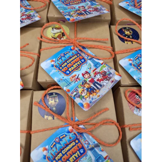 Party Bag in a Box (PAW PATROL) | Pre-filled Kids Birthday Favours | Ready Made Party Bags