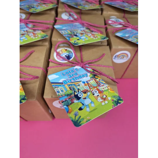 Party Bag in a Box (BLUEY) | Pre-filled Kids Birthday Favours | Ready Made Party Bags