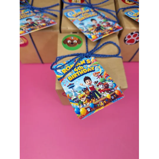 Party Bag in a Box (PAW PATROL) | Pre-filled Kids Birthday Favours | Ready Made Party Bags
