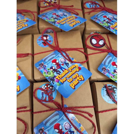 Party Bag in a Box (SPIDEY) | Pre-filled Kids Birthday Favours | Ready Made Party Bags