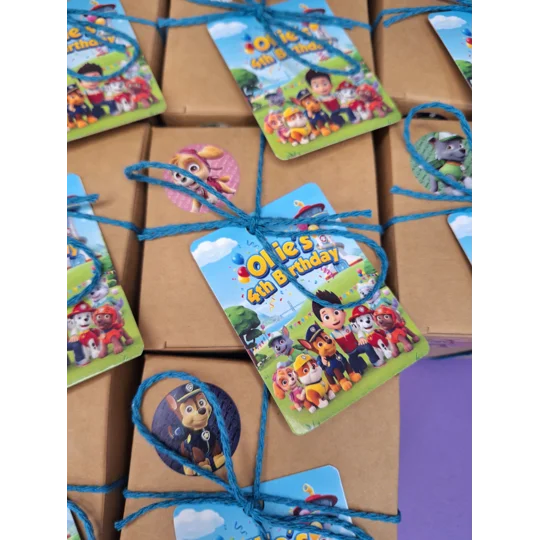 Party Bag in a Box (PAW PATROL) | Pre-filled Kids Birthday Favours | Ready Made Party Bags