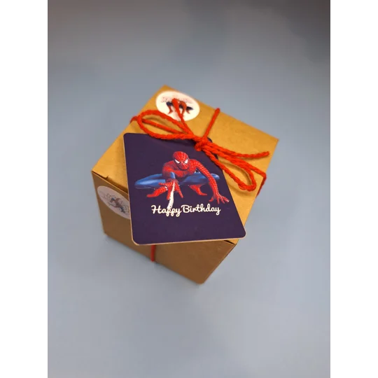 Party Bag in a Box (SPIDERMAN) | Pre-filled Kids Birthday Favours | Ready Made Party Bags
