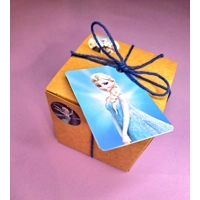 Frozen Party Box
