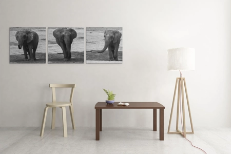 Elephant 3 pack 5X7