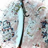 Moonlight Messenger – Aquamarine & Dove Feather Talisman Necklace