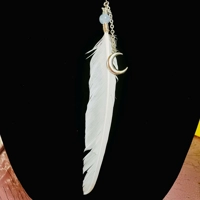 Moonlight Messenger – Aquamarine & Dove Feather Talisman Necklace