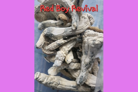 Red Boy Revival Red Boy Revival