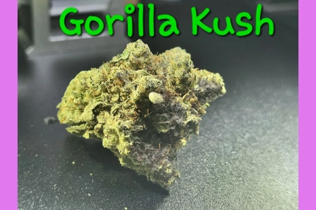 Gorilla Kush