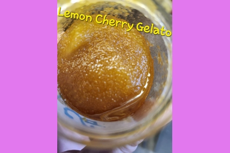 Lemon Cherry Gelato Lemon Cherry Gelato