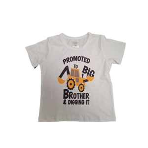 Children's T Shirt Big Brother  available in 4 sizes