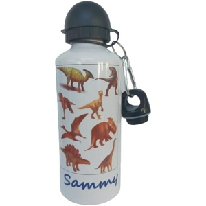 Metal 600ml Drinks Bottle Dinosaur Any Name