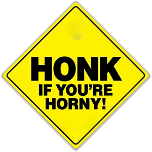 Metal Suction Car Sign - Honk