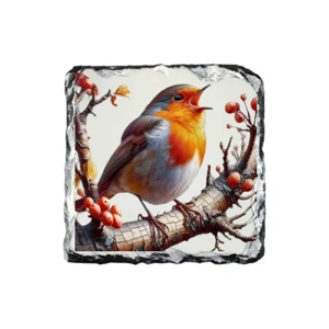 Singing Robin Rock Square Slate Coaster - Sl-05