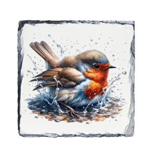 Singing Robin Splash Rock Square Slate Coaster - Sl-056
