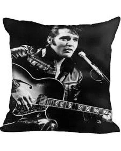 ▪️50’s【ELVIS PRESLEY】CUSHION VINTAGE - ▪️50's【ELVIS PRESLEY】CUSHION Vintage Set of