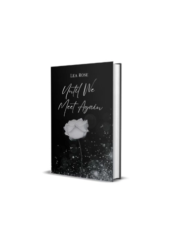 Until We Meet Again - S..