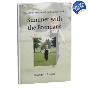 SLIGHTLY IMPERFECT Book 2: Summer with the Brennans