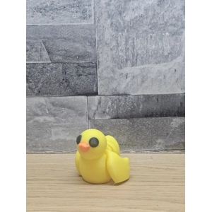 Duck Pocket Pal