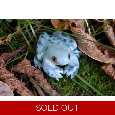 Blue Bullfrog Blue Bullfrog