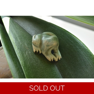 Mini Frog (Matte Green) Mini Frog (Matte Green)