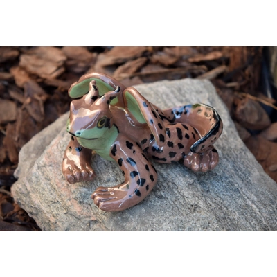 Frog Dragon Frog Dragon