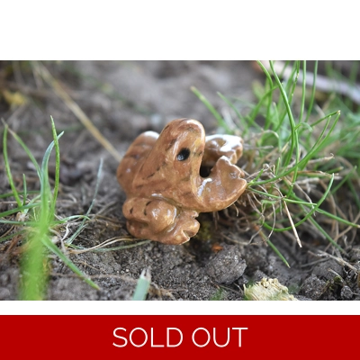 Froglet (Brown) Froglet (Brown)