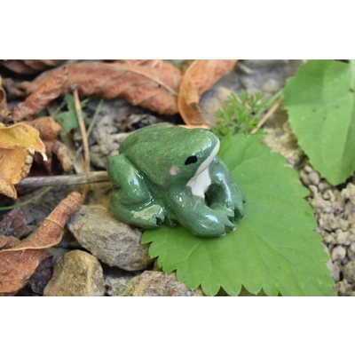 Green Frog Green Frog