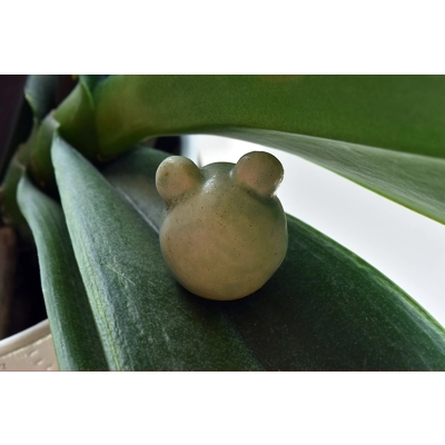 Gumdrop Frog (Matte Green) Gumdrop Frog (Matte Green)