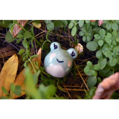 Gumdrop Frog (Green Cutie) Gumdrop Frog (Green Cutie)