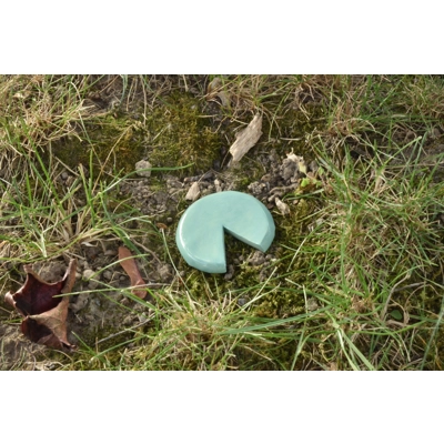 Lily Pad (Mini) Lily Pad (Mini)