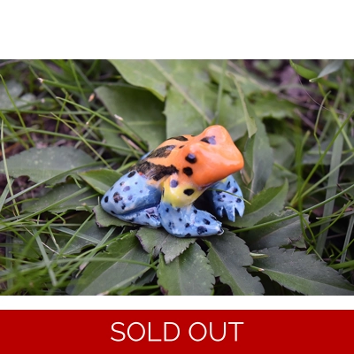 Mimic Poison Frog Mimic Poison Frog