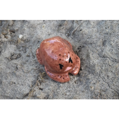 Rain Frog Mini (Brown) Rain Frog Mini (Brown)