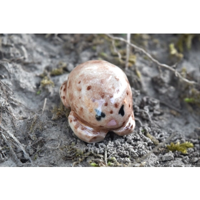 Rain Frog Mini (Light) Rain Frog Mini (Light)