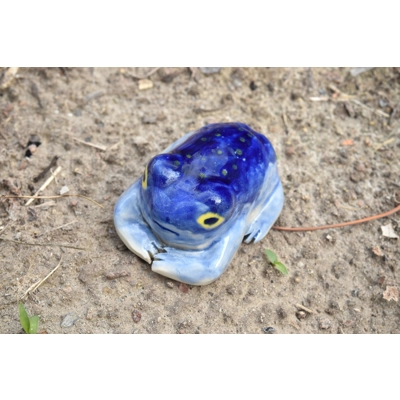 Rain Frog (Starry Night) Rain Frog (Starry Night)