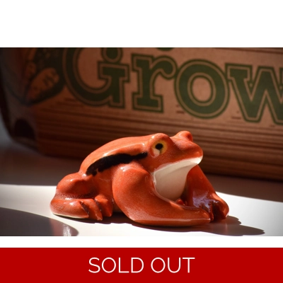 Tomato Frog Tomato Frog