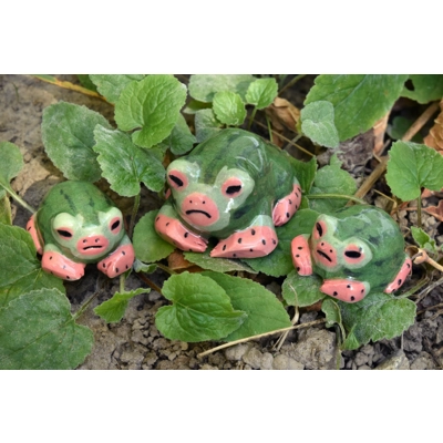 Rain Frog (Watermelon Luchador) Rain Frog (Watermelon Luchador)