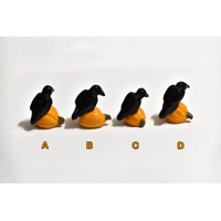 Crow on Pumpkin Crow on Pumpkin