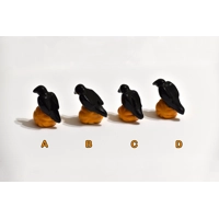 Crow on Pumpkin Crow on Pumpkin