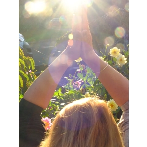 Reiki Distance healing 1 month package
