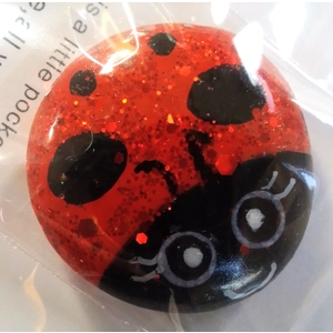 A Hug in a Bug Pocket Hug