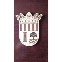 Laserd football Plaques